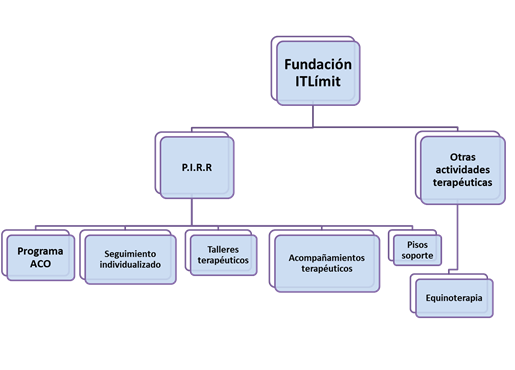 Figura 1 Estructura del Programa P.I.R.R.